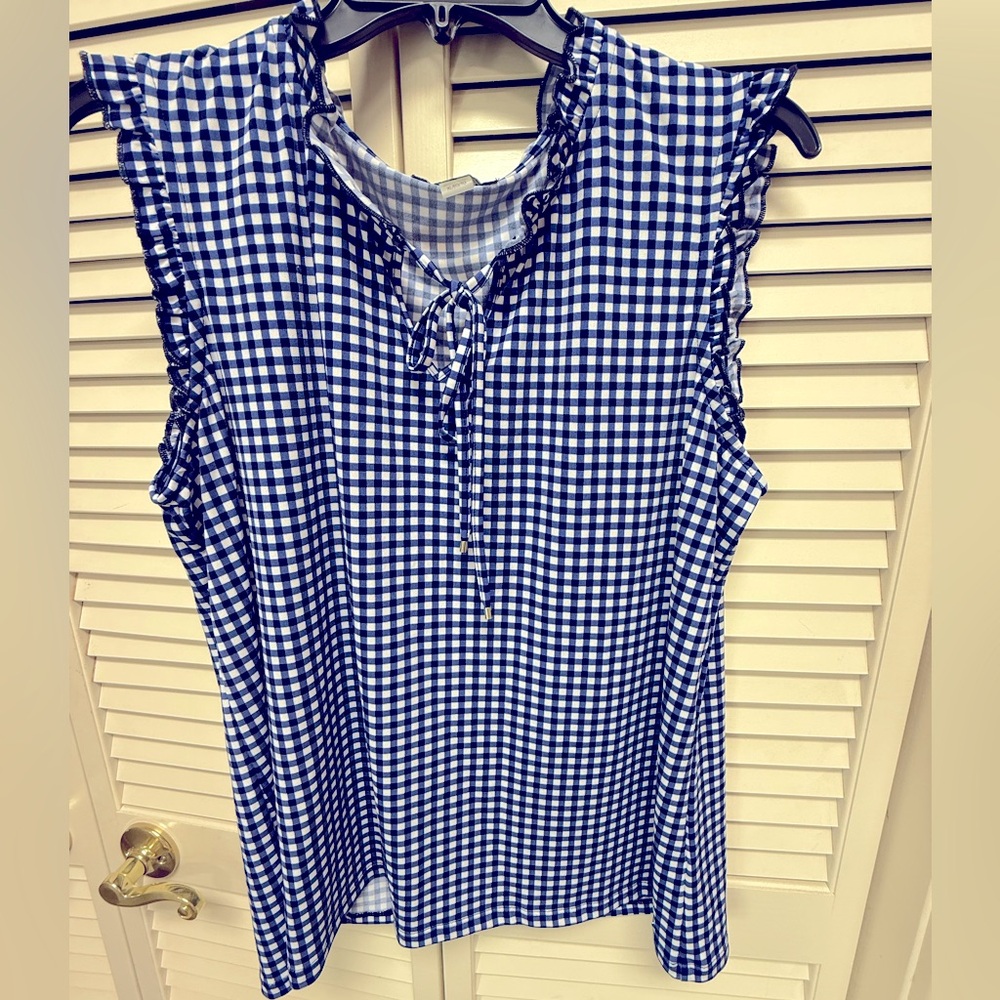 Blue Gingham Sleeveless Top - REPOSH
